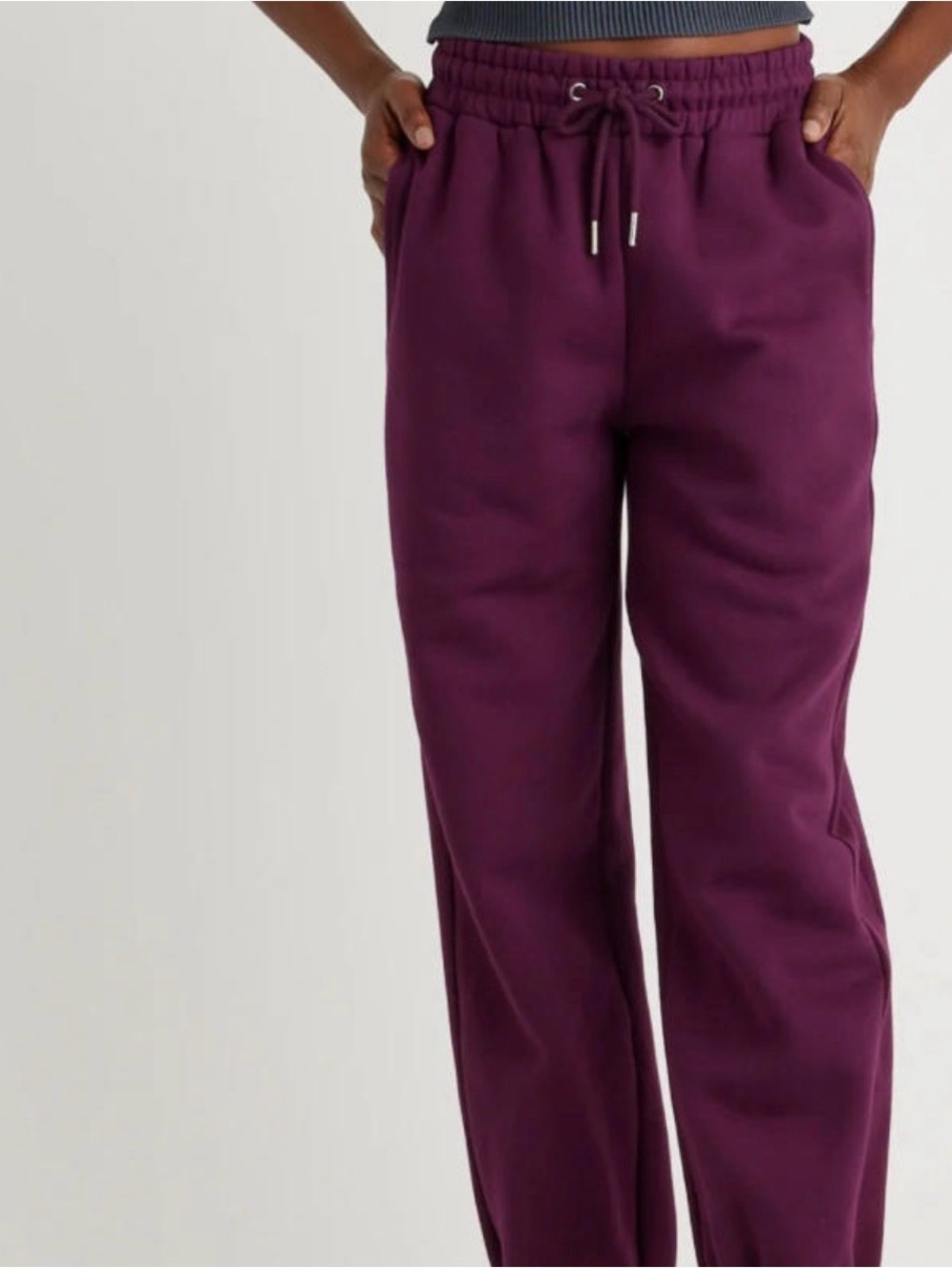 Quince Organic Heavyweight Fleece Boyfriend Sweatpants - plum